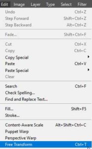 Free Transform 