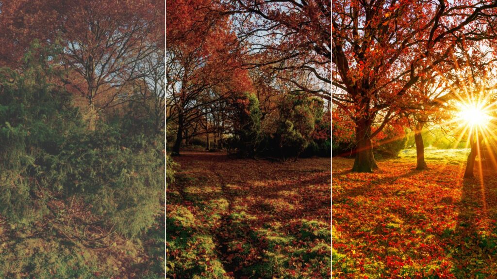Bright Color Grading for Dynamic Photography Achieve Radiant Results