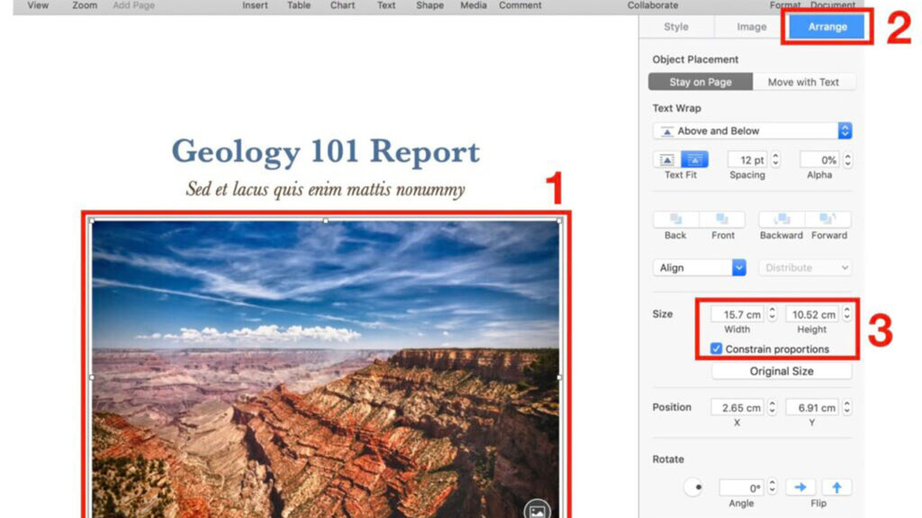 Resize Images in Centimeters Image 1