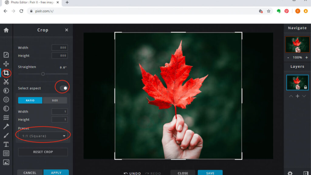 Square Image Cropper Featured Image