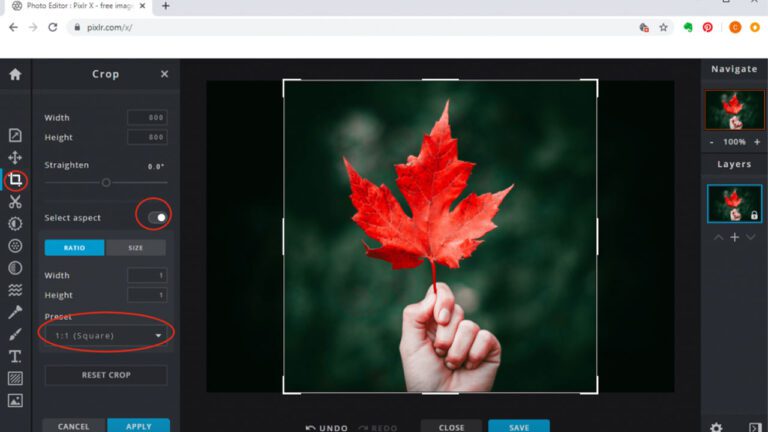 Square Image Cropper Featured Image