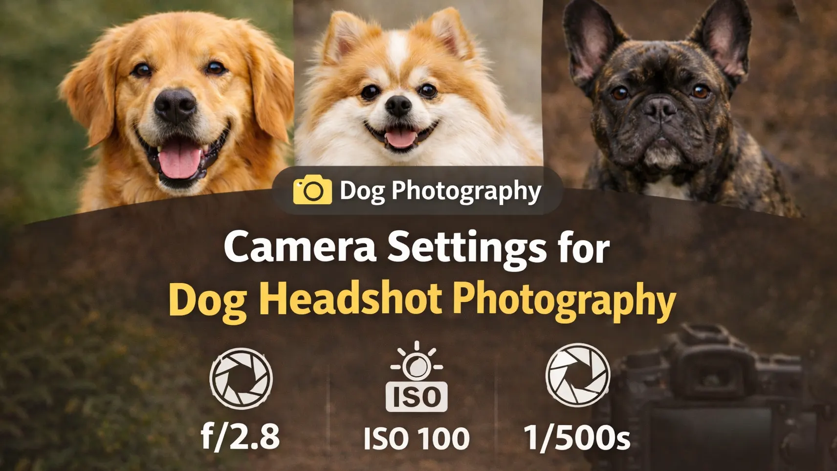 Camera Settings for Dog Headshot Photography