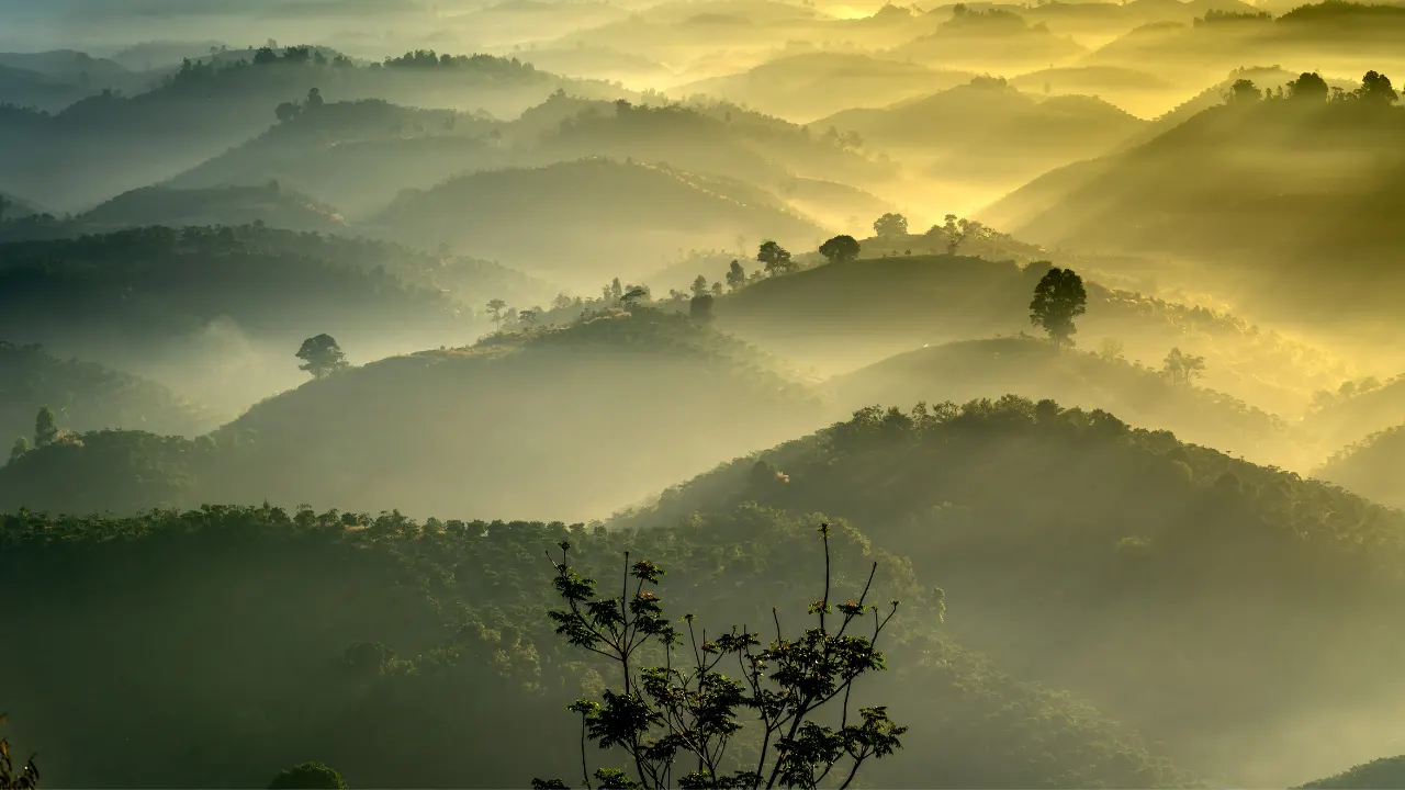 Best Photo Types for Hazy Effect