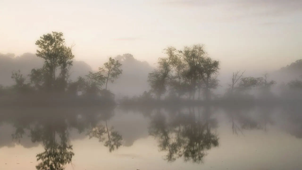 How to Customize Dreamy Effect for Pro-Level Results