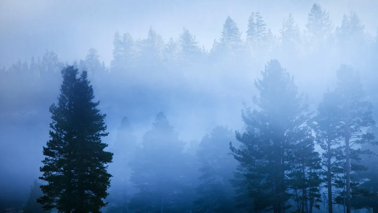 What Is Hazy Effect Photoshop Editing