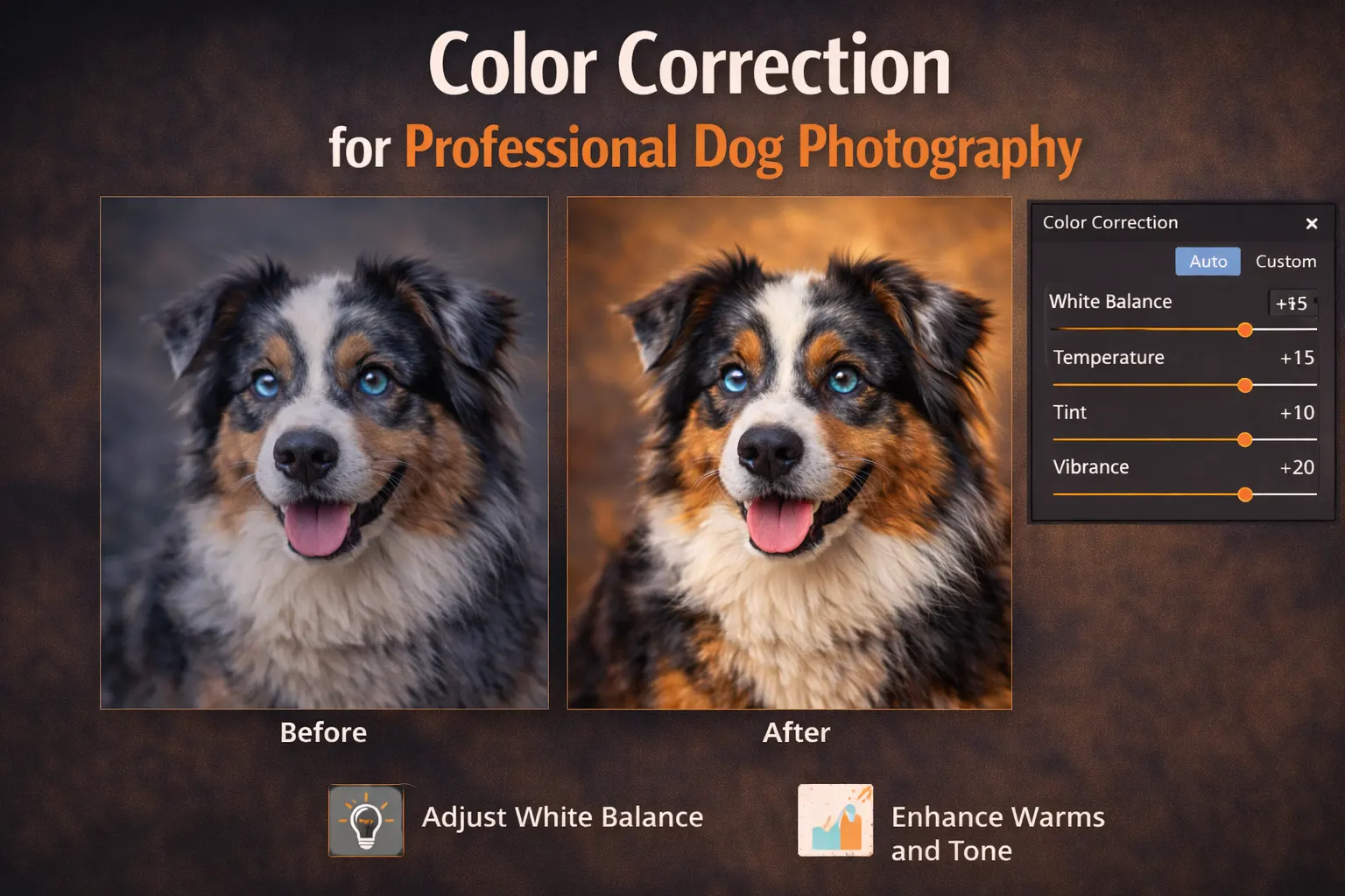 dog photography