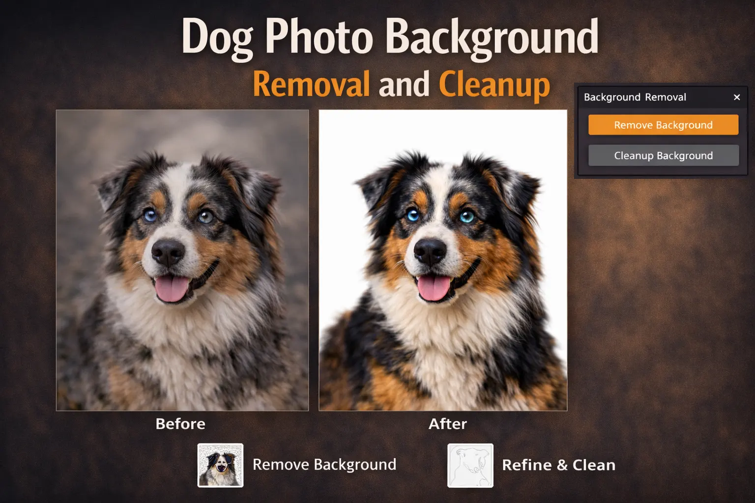 dog photography